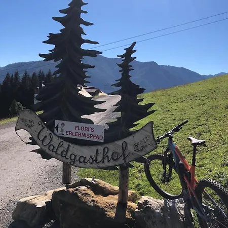 - Vollholz Im Zentrum Von アパート