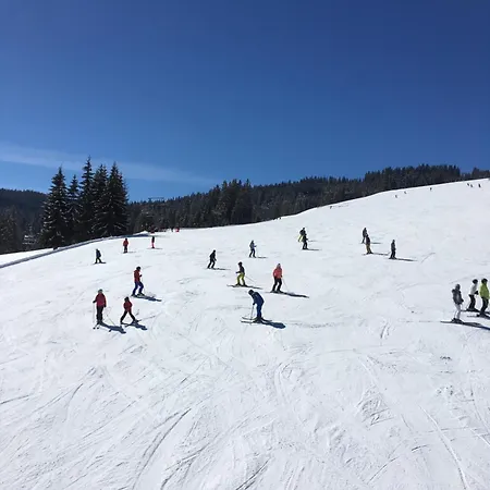 アパート - Vollholz Im Zentrum Von フラッハウ