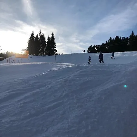 アパート - Vollholz Im Zentrum Von